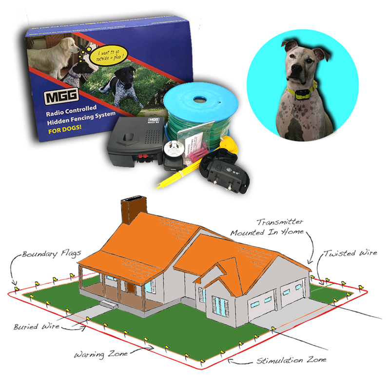 https://www.mggproducts.co.nz/dog-fence-systems